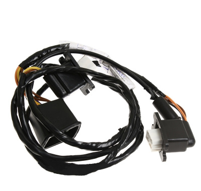 купить Пучок задних фонарей 53212